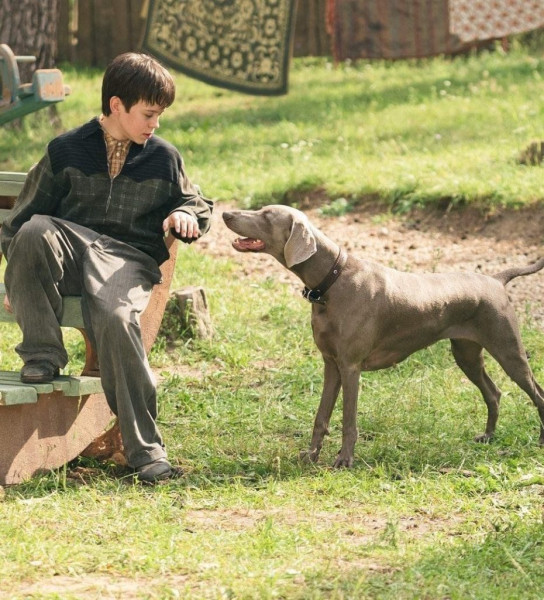 10 фильмов и сериалов о настоящих мужчинах, которые хочется пересматривать вновь и вновь