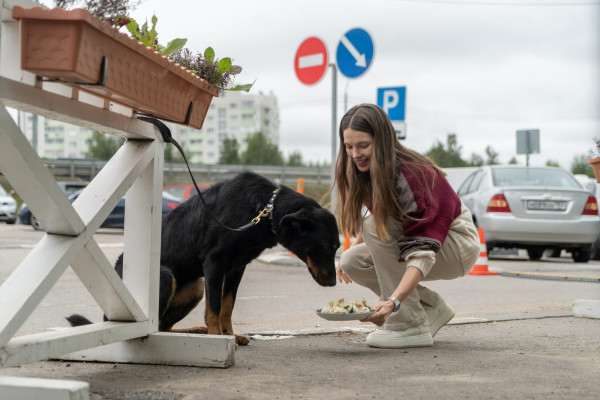 &laquo;Уволить Жору&raquo;: Как вернули шутки из нулевых и Данилу Козловского