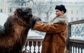 Солдатам о зверятах: «Красавица» — история о неочевидных героях, основанная на реальных событиях