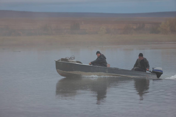 &laquo;Цинга&raquo;: Красное и серое