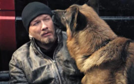 Почему сериал «Пес» закрыли на шестом сезоне и возвращения не будет