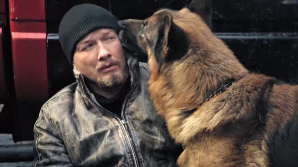 Почему сериал &laquo;Пес&raquo; закрыли на шестом сезоне и возвращения не будет