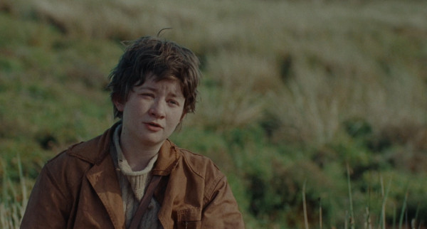 «Ловушка для кролика»: Рецензия Киноафиши «Ловушка для кролика»: Рецензия Киноафиши