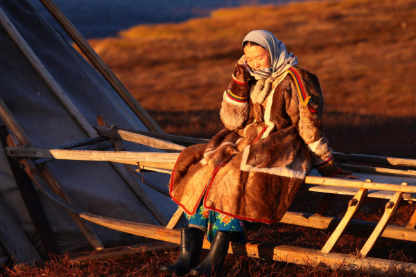 &laquo;Цинга&raquo;: Красное и серое