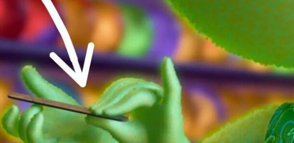 $1,68 млрд сборов — не показатель: Disney и Pixar проморгали 8 глупых ляпов в «Головоломке 2» $1,68 млрд сборов — не показатель: Disney и Pixar проморгали 8 глупых ляпов в «Головоломке 2»